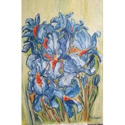 iris-in-verde