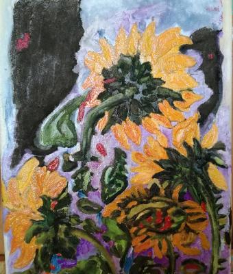 piccoli-girasoli