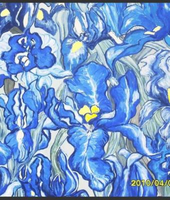 iris-2010