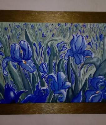 iris-2012