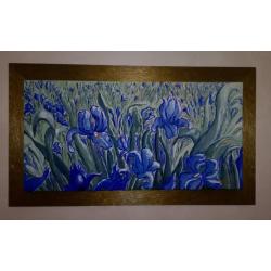 iris-2012