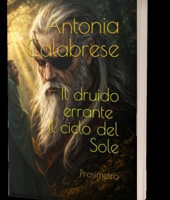 il-druido-errante-il-ciclo-d