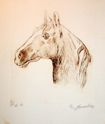testa-di-cavallo