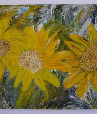 i-girasoli