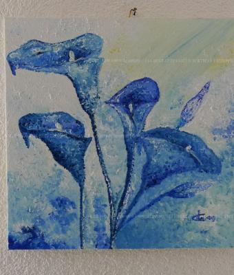 calle-blu