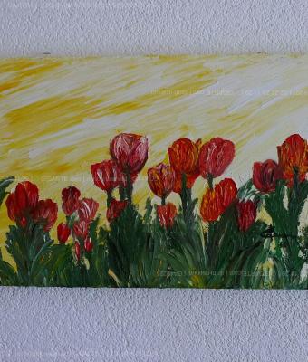 tulipani-rossi