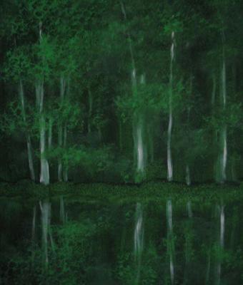 riflessi