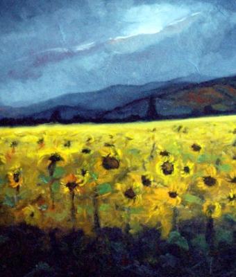 girasoli