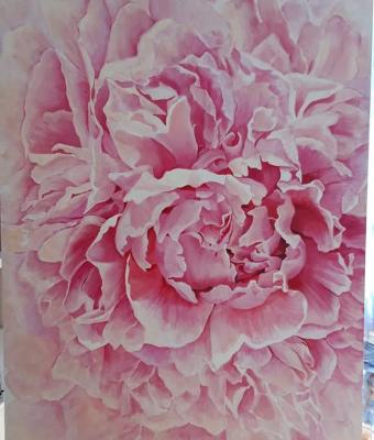 peonia