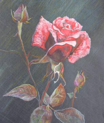 ga240900-senza-titolo