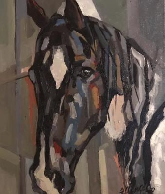 il-cavallo