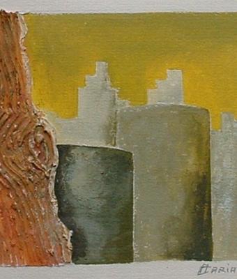 paesaggio-urbano11