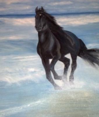 cavallo-sulla-battigia