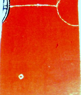 nudo-3