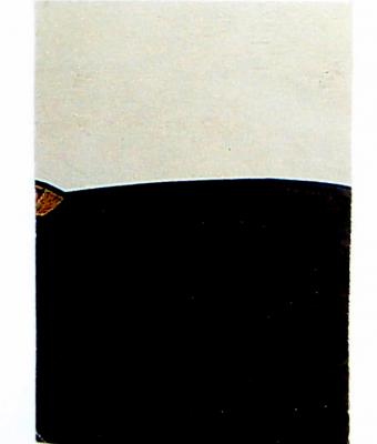nudo-4