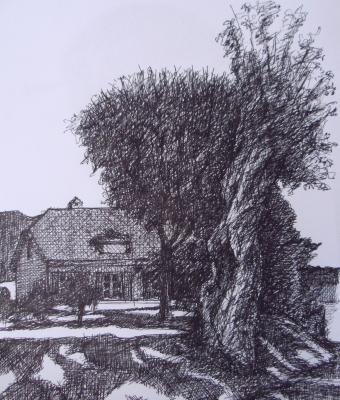 campagna-nei-dintorni-di-ginev