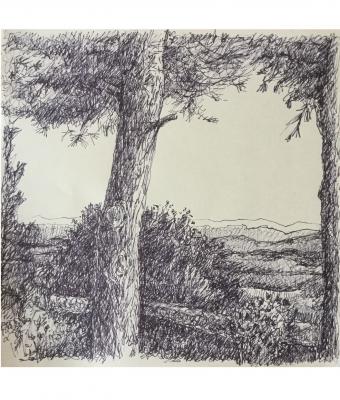 dal-poggio-del-conero