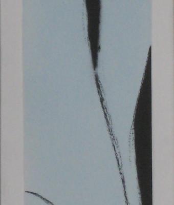 opera-n-38115