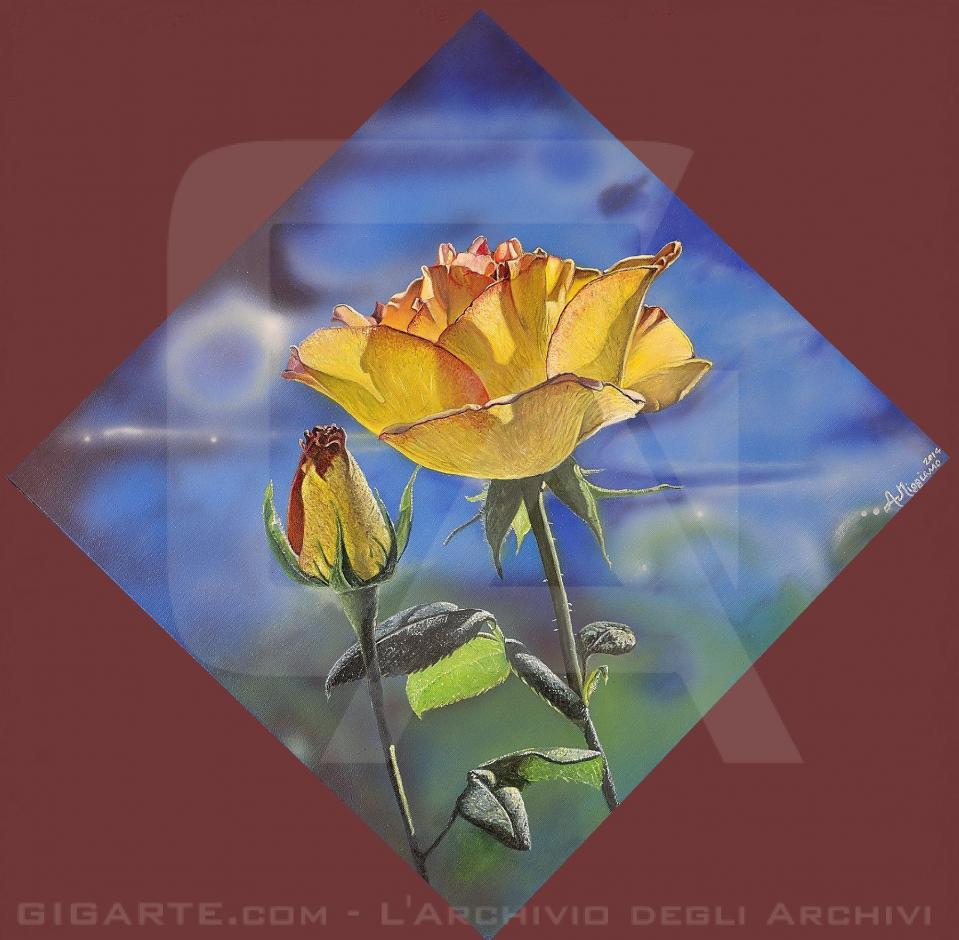 rosa