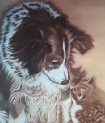 cane-e-gatto-amici-per-sempre