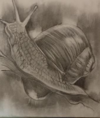 ga242113-senza-titolo