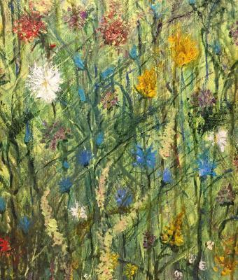 fiori-di-campo