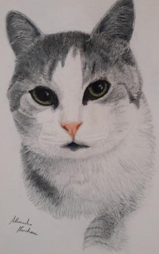 l-amico-gatto-romeo-pesce