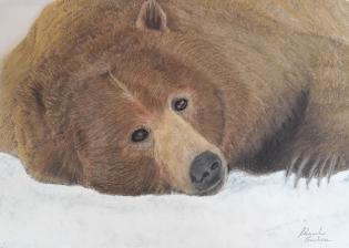 l-amico-orso