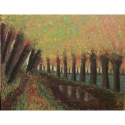 viale-alberato