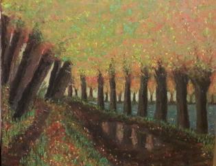 viale-alberato