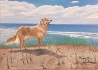 golden-retriever