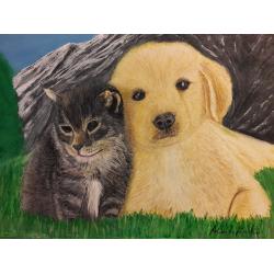 amici-cane-e-gatto