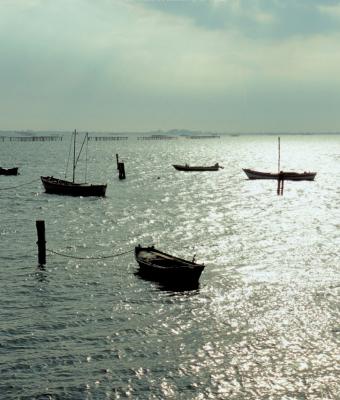 magico-delta-del-po-orizzont