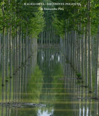 magico-delta-orizzonte-poles