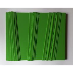 monocromo-verde-203