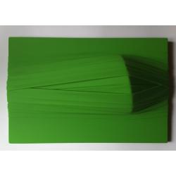 monocromo-verde-206