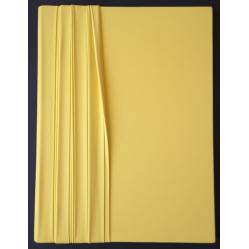 monocromo-giallo-250