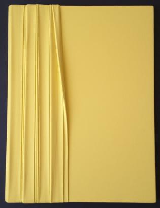 monocromo-giallo-250
