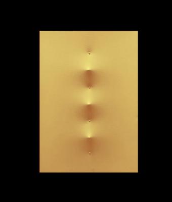 monocromo-giallo-429