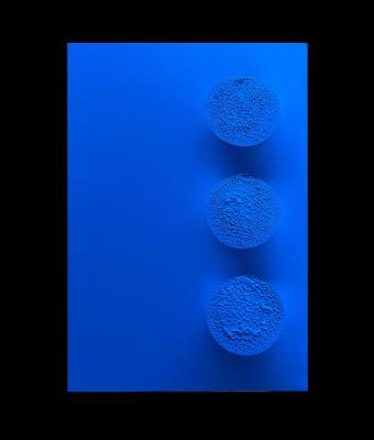monocromo-blu-442