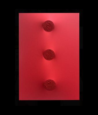 monocromo-rosso-422