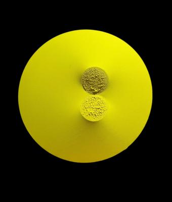 monocromo-giallo-459