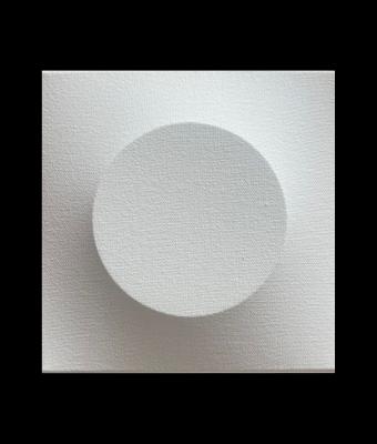 monocromo-bianco-454