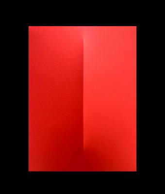 monocromo-rosso-490