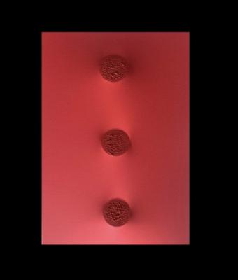 monocromo-rosso-608