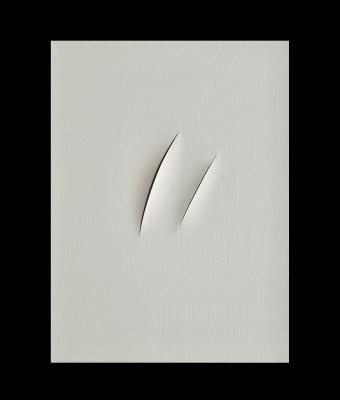monocromo-bianco-603