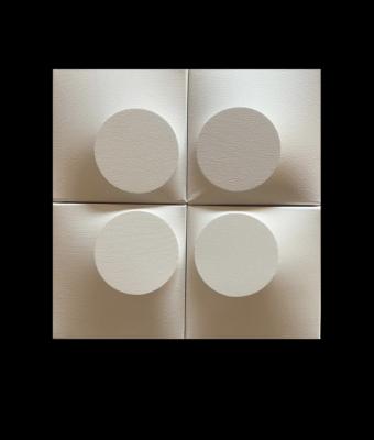 monocromo-bianco-631