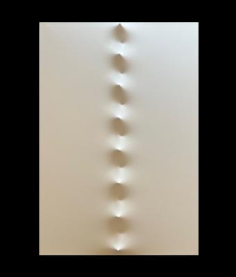 monocromo-bianco-571