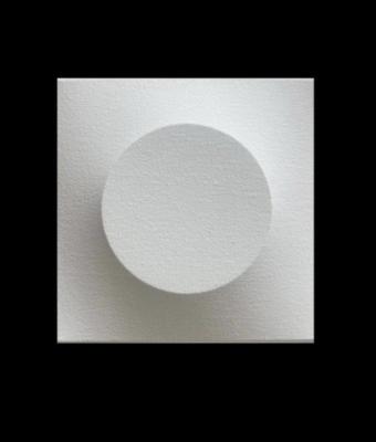 monocromo-bianco-656