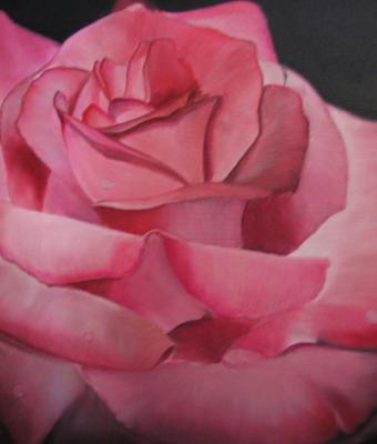 la-rosa